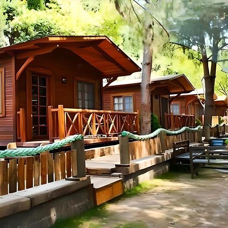 Green House Uzungol Trabzon Esterno foto